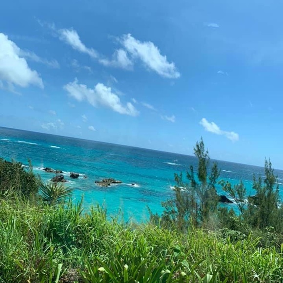 Meet your Posher, Alecia - Picture 1 of 1